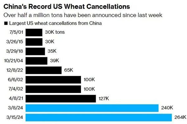 中國大規(guī)模取消美國小麥訂單