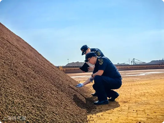 海關進口查驗