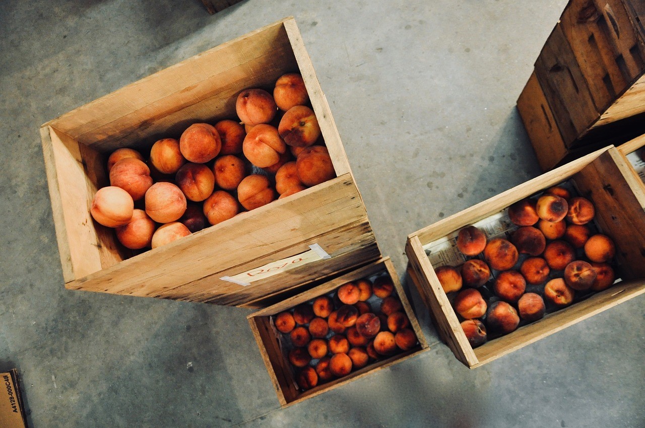 進(jìn)出口貿(mào)易木質(zhì)包裝：規(guī)范操作，筑牢生物安全防線